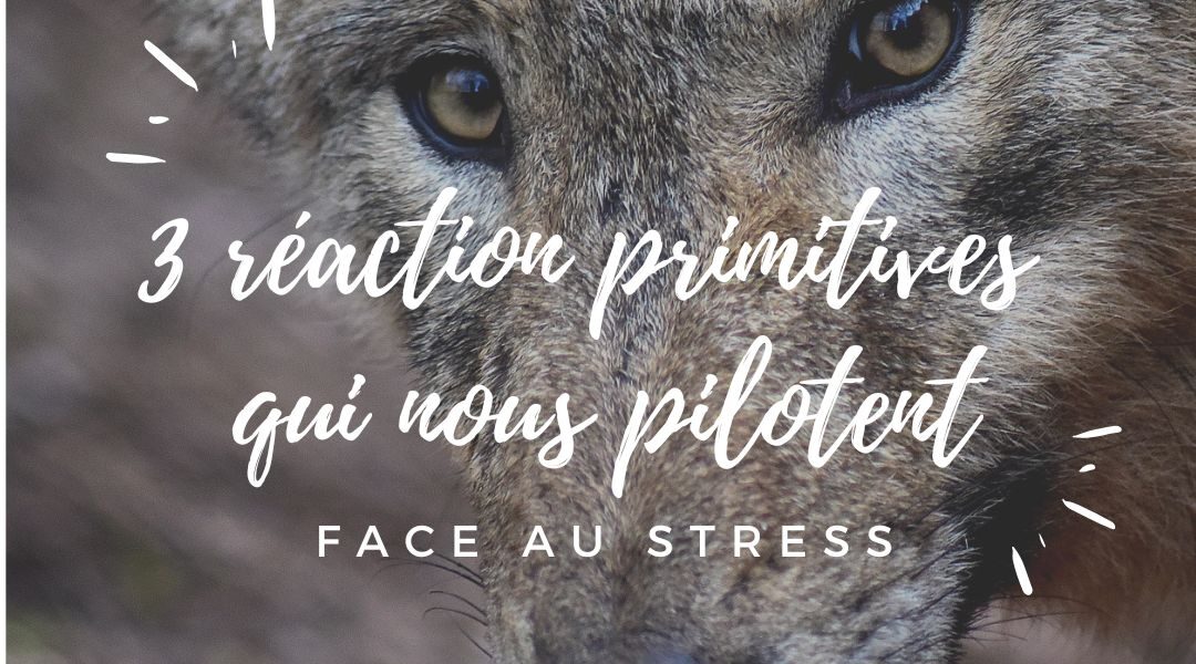 Podcast "3 réactions primitives qui nous pilotent face au stress" - Source otn burnout