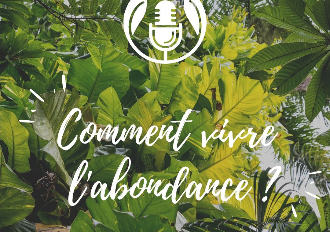 Podcast - comment vivre dans l'abondance