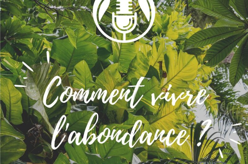 Podcast - comment vivre dans l'abondance