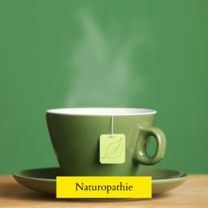 - Naturopathe Toulouse - Réflexologue Toulouse - meilleur naturopathe toulouse - médecin naturopathe toulouse - naturopathe endométriose toulouse - fatigue chronique - naturopathe hypersensible - troubles digestifs - troubles du sommeil - surcharge mentale - stress - naturopathe accompagnement femme - reconversion / burnout / charge mentale - hypersensible / post-trauma