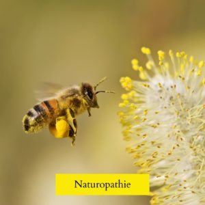 - Naturopathe Toulouse - Réflexologue Toulouse - meilleur naturopathe toulouse - médecin naturopathe toulouse - naturopathe endométriose toulouse - fatigue chronique - naturopathe hypersensible - troubles digestifs - troubles du sommeil - surcharge mentale - stress - naturopathe accompagnement femme - reconversion / burnout / charge mentale - hypersensible / post-trauma