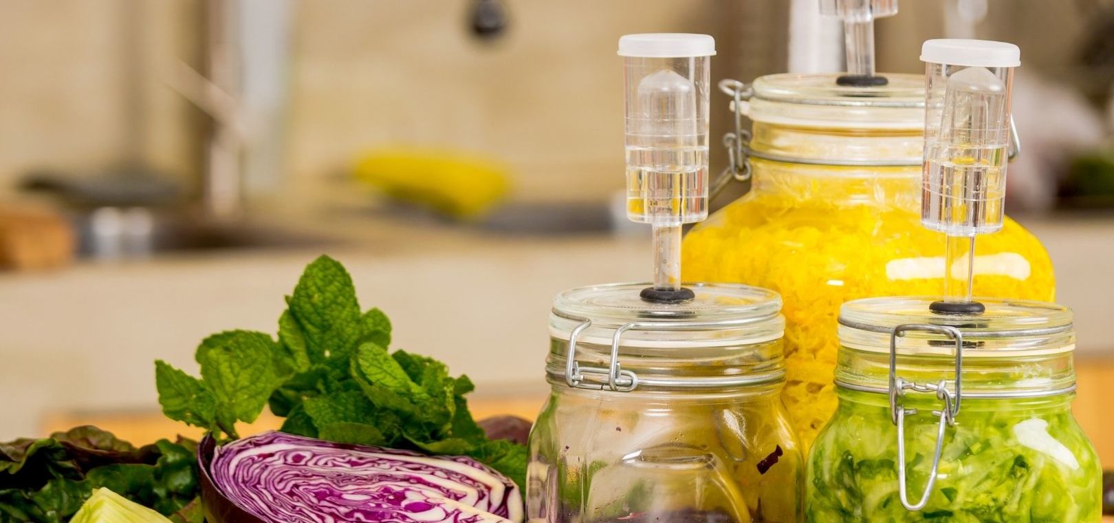 - Naturopathe Toulouse - Réflexologue Toulouse - meilleur naturopathe toulouse - médecin naturopathe toulouse - naturopathe endométriose toulouse - fatigue chronique - naturopathe hypersensible - troubles digestifs - troubles du sommeil - surcharge mentale - stress - naturopathe accompagnement femme - reconversion / burnout / charge mentale - hypersensible / post-trauma