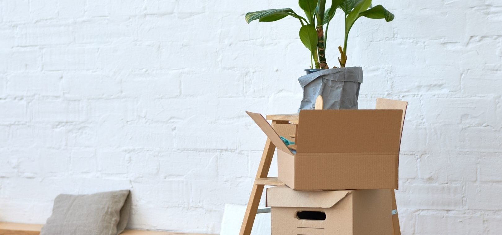- Naturopathe Toulouse - Réflexologue Toulouse - meilleur naturopathe toulouse - médecin naturopathe toulouse - naturopathe endométriose toulouse - fatigue chronique - naturopathe hypersensible - troubles digestifs - troubles du sommeil - surcharge mentale - stress - naturopathe accompagnement femme - reconversion / burnout / charge mentale - hypersensible / post-trauma