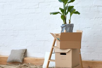 - Naturopathe Toulouse - Réflexologue Toulouse - meilleur naturopathe toulouse - médecin naturopathe toulouse - naturopathe endométriose toulouse - fatigue chronique - naturopathe hypersensible - troubles digestifs - troubles du sommeil - surcharge mentale - stress - naturopathe accompagnement femme - reconversion / burnout / charge mentale - hypersensible / post-trauma