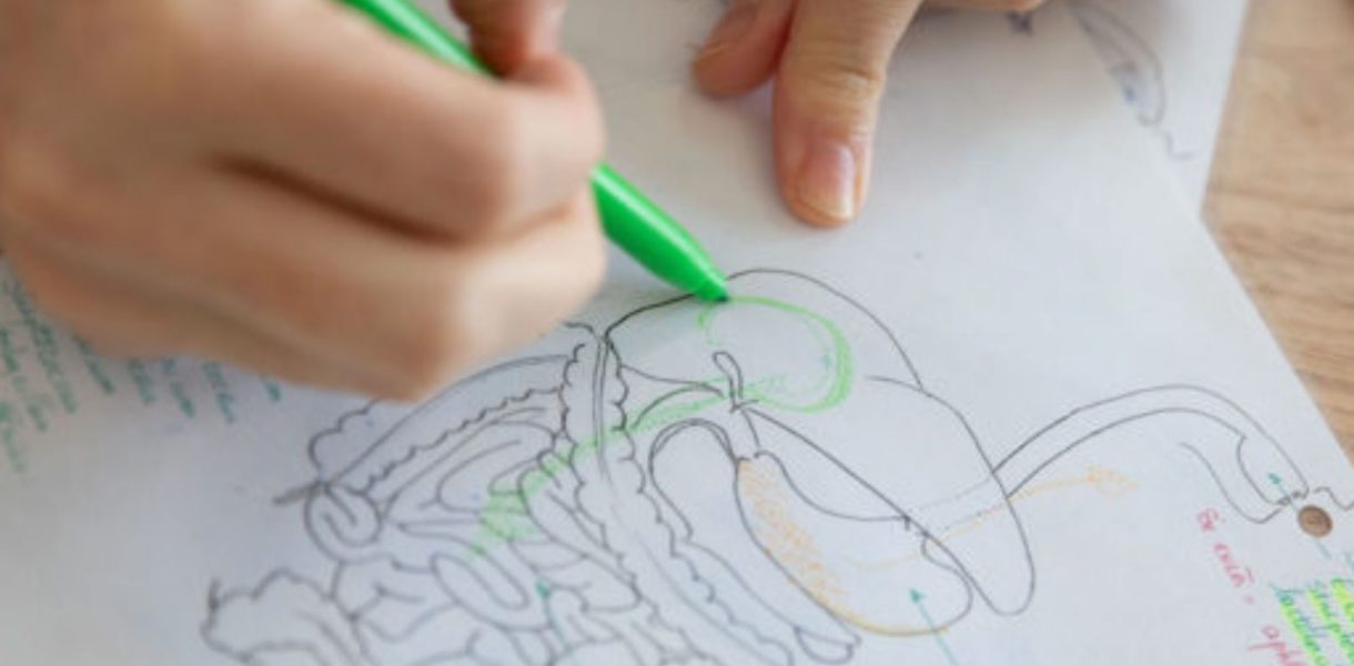 - Naturopathe Toulouse - Réflexologue Toulouse - meilleur naturopathe toulouse - médecin naturopathe toulouse - naturopathe endométriose toulouse - fatigue chronique - naturopathe hypersensible - troubles digestifs - troubles du sommeil - surcharge mentale - stress - naturopathe accompagnement femme - reconversion / burnout / charge mentale - hypersensible / post-trauma