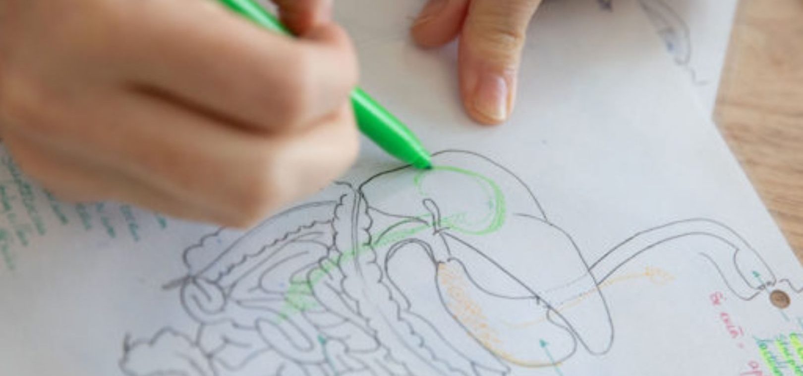 - Naturopathe Toulouse - Réflexologue Toulouse - meilleur naturopathe toulouse - médecin naturopathe toulouse - naturopathe endométriose toulouse - fatigue chronique - naturopathe hypersensible - troubles digestifs - troubles du sommeil - surcharge mentale - stress - naturopathe accompagnement femme - reconversion / burnout / charge mentale - hypersensible / post-trauma