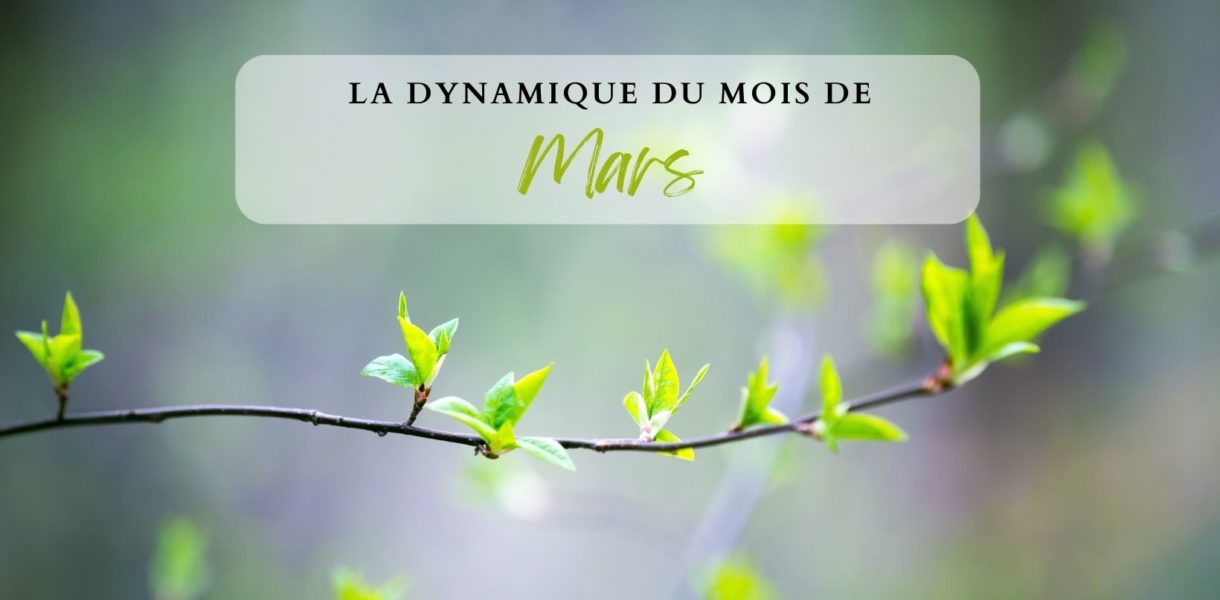 Lettre naturo Ambre Verdon Mars