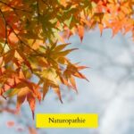 - Naturopathe Toulouse - Réflexologue Toulouse - meilleur naturopathe toulouse - médecin naturopathe toulouse - naturopathe endométriose toulouse - fatigue chronique - naturopathe hypersensible - troubles digestifs - troubles du sommeil - surcharge mentale - stress - naturopathe accompagnement femme - reconversion / burnout / charge mentale - hypersensible / post-trauma