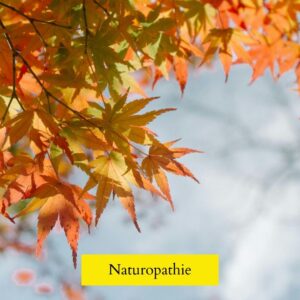 - Naturopathe Toulouse - Réflexologue Toulouse - meilleur naturopathe toulouse - médecin naturopathe toulouse - naturopathe endométriose toulouse - fatigue chronique - naturopathe hypersensible - troubles digestifs - troubles du sommeil - surcharge mentale - stress - naturopathe accompagnement femme - reconversion / burnout / charge mentale - hypersensible / post-trauma