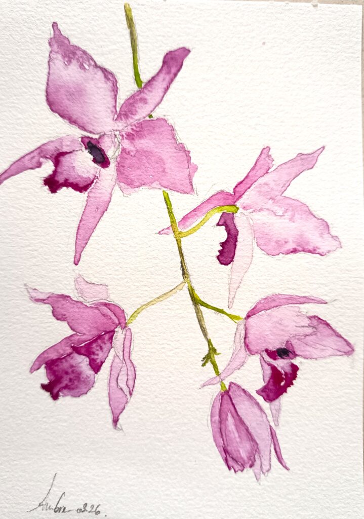 Aquarelle d'orchidée